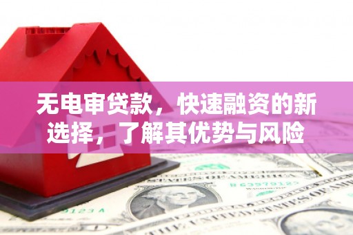 仙游无电审贷款，快速融资的新选择，了解其优势与风险