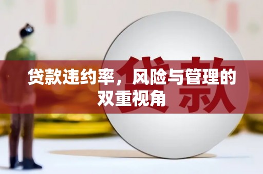 仙游贷款违约率，风险与管理的双重视角