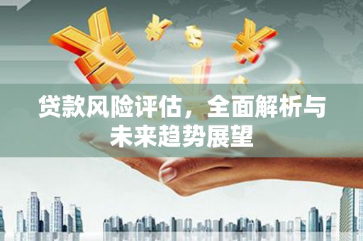 仙游贷款风险评估，全面解析与未来趋势展望