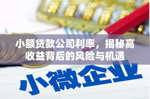 仙游小额贷款公司利率，揭秘高收益背后的风险与机遇