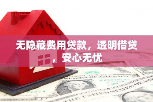 仙游无隐藏费用贷款，透明借贷，安心无忧