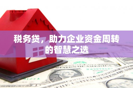仙游税务贷，助力企业资金周转的智慧之选