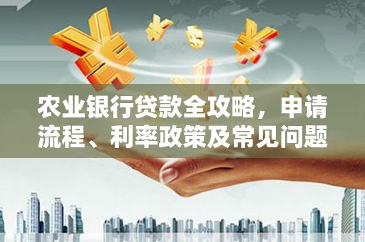 仙游农业银行贷款全攻略，申请流程、利率政策及常见问题解析