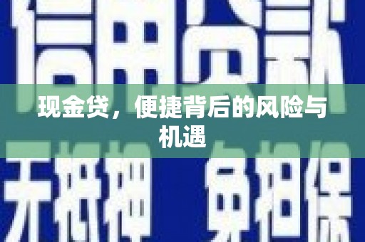 仙游现金贷，便捷背后的风险与机遇
