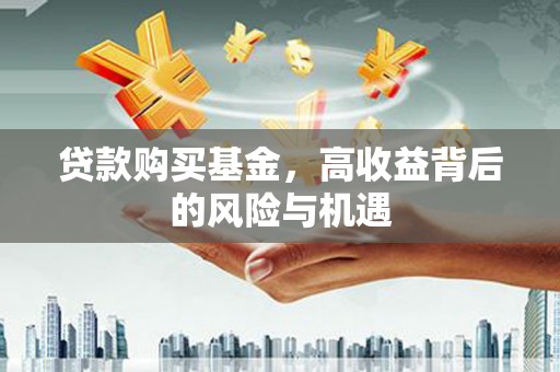 仙游贷款购买基金，高收益背后的风险与机遇
