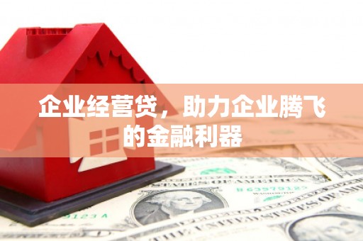 仙游企业经营贷，助力企业腾飞的金融利器