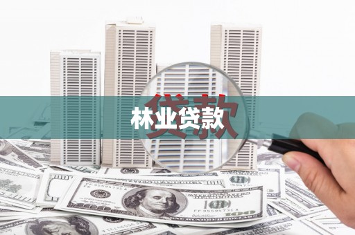 仙游林业贷款