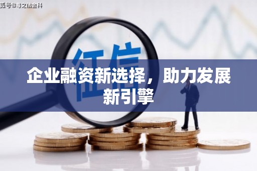 仙游企业融资新选择，助力发展新引擎