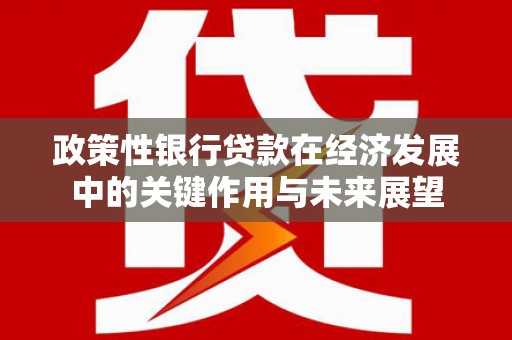 仙游政策性银行贷款在经济发展中的关键作用与未来展望
