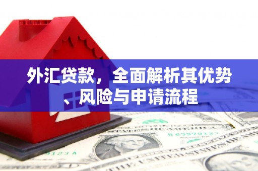 仙游外汇贷款，全面解析其优势、风险与申请流程