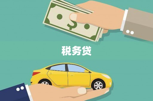 仙游税务贷