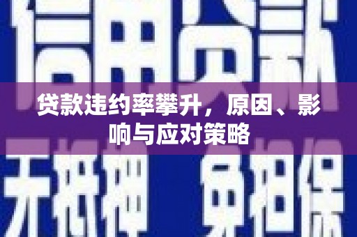 仙游贷款违约率攀升，原因、影响与应对策略