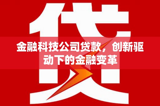 仙游金融科技公司贷款，创新驱动下的金融变革
