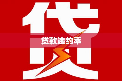 仙游贷款违约率