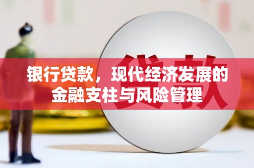 仙游银行贷款，现代经济发展的金融支柱与风险管理