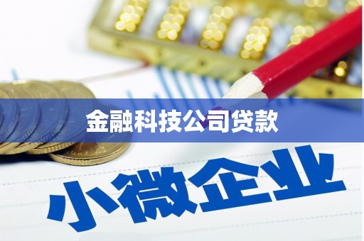 仙游金融科技公司贷款