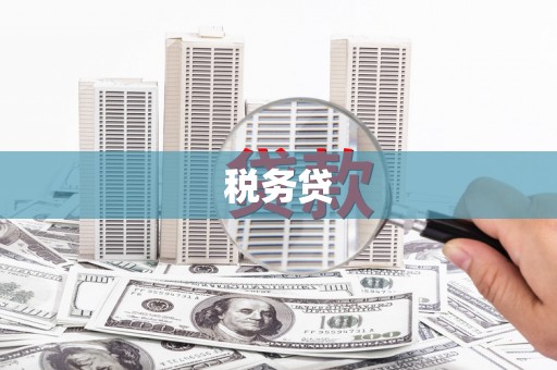 仙游税务贷