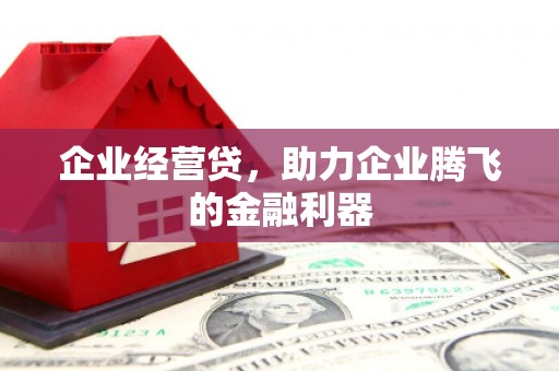 仙游企业经营贷，助力企业腾飞的金融利器