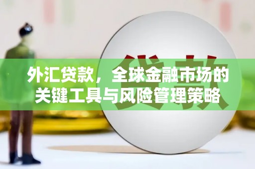 仙游外汇贷款，全球金融市场的关键工具与风险管理策略