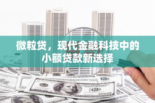 仙游微粒贷，现代金融科技中的小额贷款新选择