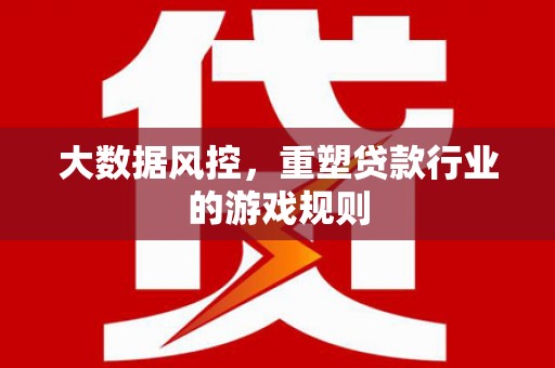 仙游大数据风控，重塑贷款行业的游戏规则