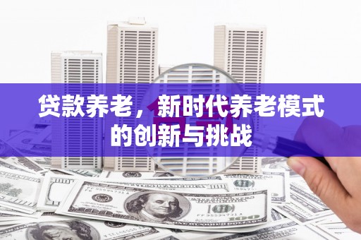 仙游贷款养老，新时代养老模式的创新与挑战