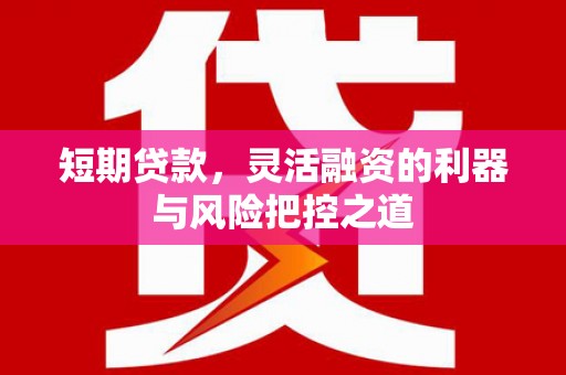 仙游短期贷款，灵活融资的利器与风险把控之道