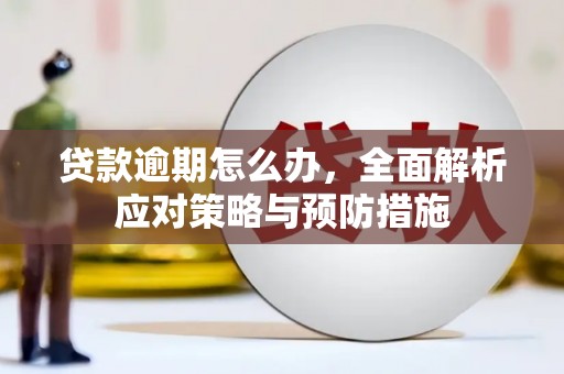 仙游贷款逾期怎么办，全面解析应对策略与预防措施