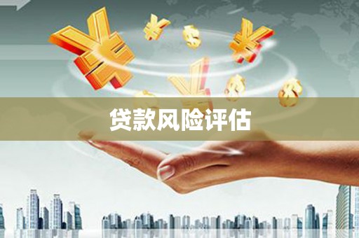 仙游贷款风险评估