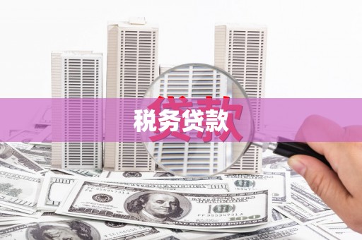 仙游税务贷款