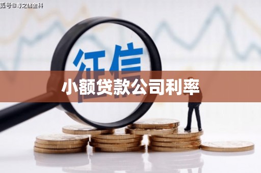 仙游小额贷款公司利率