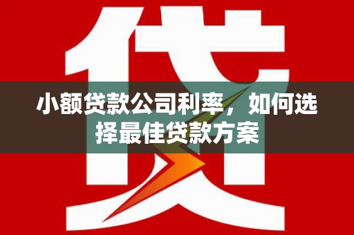 仙游小额贷款公司利率，如何选择最佳贷款方案