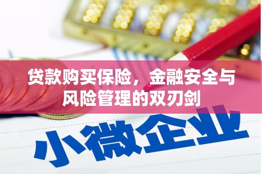 仙游贷款购买保险，金融安全与风险管理的双刃剑