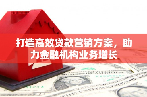 仙游打造高效贷款营销方案，助力金融机构业务增长
