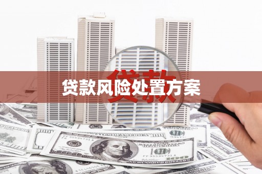 仙游贷款风险处置方案