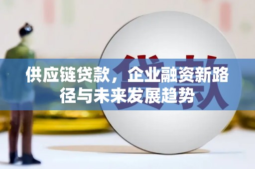仙游供应链贷款，企业融资新路径与未来发展趋势
