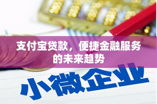 仙游支付宝贷款，便捷金融服务的未来趋势