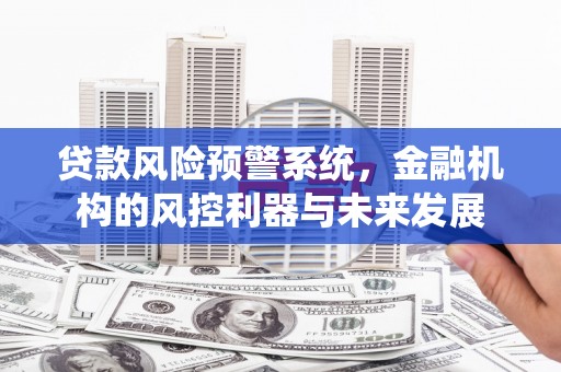 仙游贷款风险预警系统，金融机构的风控利器与未来发展