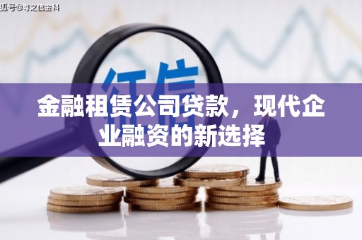 仙游金融租赁公司贷款，现代企业融资的新选择