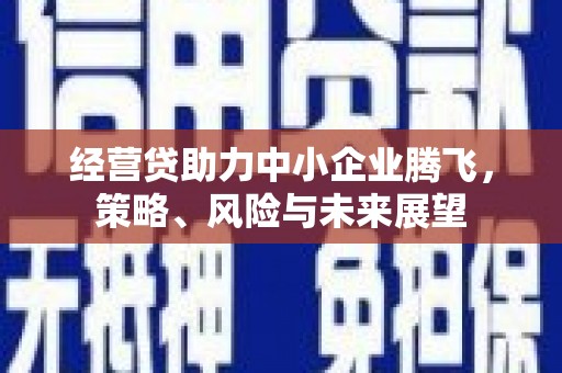 仙游经营贷助力中小企业腾飞，策略、风险与未来展望