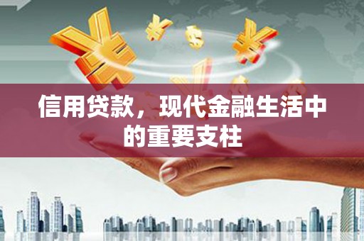 仙游信用贷款，现代金融生活中的重要支柱