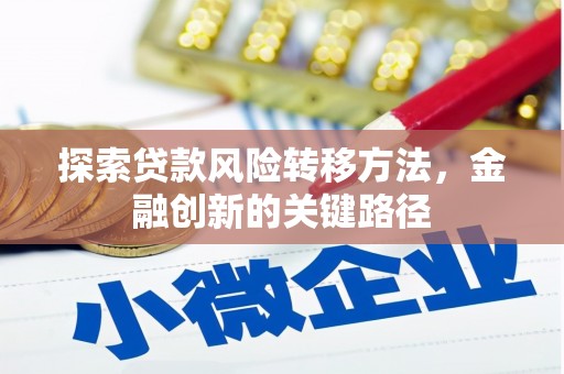仙游探索贷款风险转移方法，金融创新的关键路径