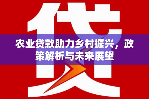 仙游农业贷款助力乡村振兴，政策解析与未来展望