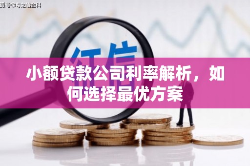 仙游小额贷款公司利率解析，如何选择最优方案
