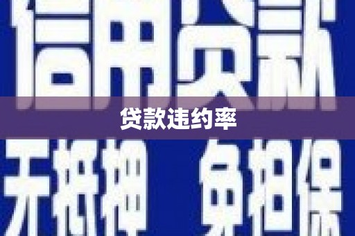 仙游贷款违约率