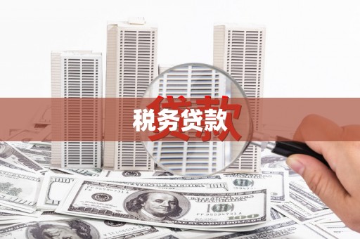 仙游税务贷款