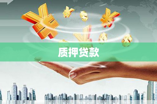仙游质押贷款