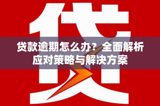 仙游贷款逾期怎么办？全面解析应对策略与解决方案