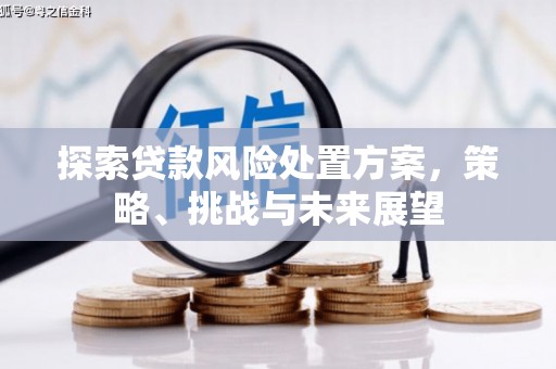 仙游探索贷款风险处置方案，策略、挑战与未来展望