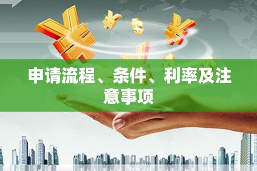 仙游申请流程、条件、利率及注意事项